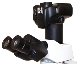 canon 5d mark iv fiyat