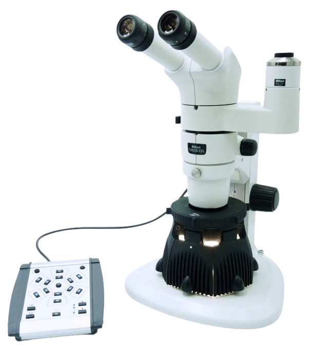 SUNFLOWER LED illuminator on NIKON SMZ stereomicroscope